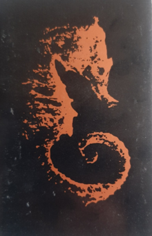 A red silhouette of a seahorse over a dark navy background.