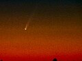 Comet McNaught