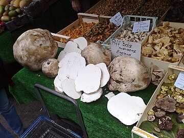 Calvatia gigantea, the giant puffball at a market in England