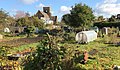 Northfield Allotments overlooked by St John's Church