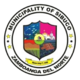 Official seal of Sibuco