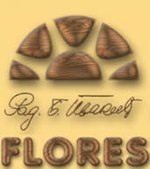 Flores logo