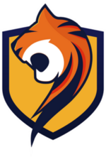 Logo of the esports team SEM9