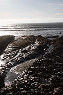 Ridges in Tide Pools