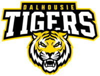 Dalhousie Tigers athletic logo