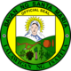 Official seal of Santa Maria