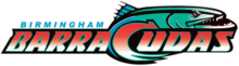 Team logo