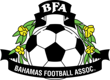 Shirt badge/Association crest