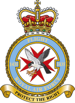 Flight badge