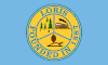 Flag of Loris, South Carolina