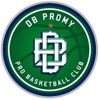 Wonju DB Promy 원주 DB 프로미 logo