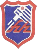 Shirt badge/Association crest