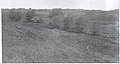 Lye Valley near the Meadow during the same time period.