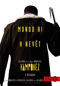 A film moziplakátja