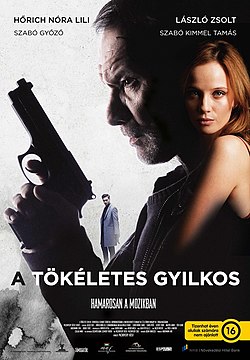 A film hazai plakátja