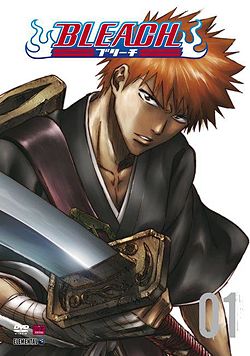 A Bleach anime 1. DVD-je magyar kiadásának borítója