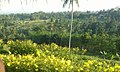 Kawasan Taman Langit