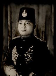 Sultan Syarif Harun, Raja terakhir Kesultanan Pelalawan