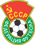 Shirt badge/Association crest