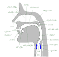 20:37, 2 ఆగస్టు 2007 నాటి కూర్పు నఖచిత్రం