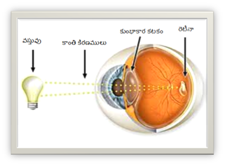 దృష్టి దోషము లేనపుడు యేర్పడు ప్రతిబింబ చిత్రం