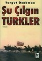 22.43, 23 Aralık 2005 tarihindeki sürümün küçültülmüş hâli