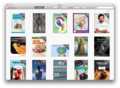 iBooks Store